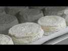 Une journée avec le berger Jean-Michel Casalta : la confection du fromage