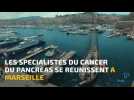 La Minute Santé : Marseille, capitale mondiale de la lutte contre le cancer du pancréas