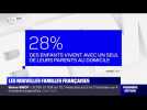 Les nouvelles familles françaises - 15/01