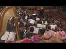 Le Philharmonique de Vienne, orchestre unique par excellence