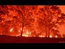 Australie : les incendies ont émis plus de CO2 que la France en un an
