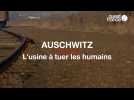 Auschwitz, l'usine à tuer les humains