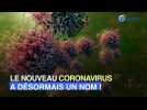 Quel est le nouveau nom du coronavirus ?