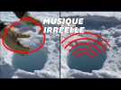 Le son de ce caillou tombant dans la glace est irréel (et pourtant authentique)