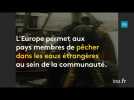 France-Royaume-Uni : la guerre de poisson