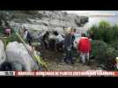 Marseille : campagne d'arrachage de plantes exotiques envahissantes