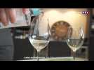Sans modération : l'alcool sans alcool