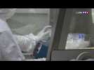 Coronavirus : l'Institut Pasteur travaille nuit et jour à la mise au point d'un vaccin