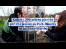 Calais : 290 arbres plantés par des jeunes au Fort-Nieulay et au Beau-Marais