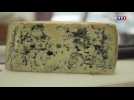 Le bleu du Queyras, un fromage de caractère