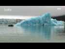 Croisière en Arctique, au pays de l'ours blanc