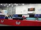 Tennis de table : Olga Mikhaylova et les Saint-Quentinoises qualifiées pour les demi-finales de la Ligue des Champions