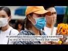 Coronavirus en Chine : la transmission humaine se confirme, un 4e mort