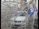 Un camion heurte un arbre à Bastia : deux blessés
