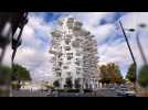 L'Arbre Blanc élu plus bel immeuble au monde par ArchDaily