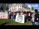 Angers : 500 personnes défilent en centre-ville pour défendre le climat