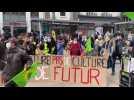 Marche pour le climat : les manifestants s'allongent devant l'opéra de Reims