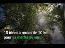 Parcs, jardins : nos 10 idées de sorties à 10 km autour de Lille