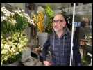 A Lille, un fleuriste est ravi que sa boutique reste ouverte (bis)