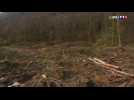 Étrange série de vols dans une forêt de l'Ariège