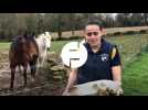Camille Le Bourdonnec, dentiste pour chevaux