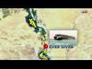 Canal de Suez bloqué : un embouteillage qui pourrait coûter cher