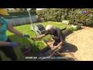 Des envies de jardinage avec la météo printanière