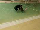 L'asbl AMA Jeunesse Gym (Molenbeek) propose des cours de natation en inclusion