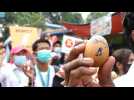 Birmanie : des oeufs de Pâques contre la junte, le pape exprime 