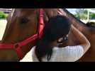 Au Costa Rica, des chevaux pour soigner les troubles cognitifs et la dépression