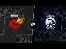 LIMBURG - BRUSSELS (EMBL Highlights)