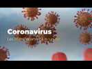 Coronavirus en Belgique : les décès repartent à la hausse