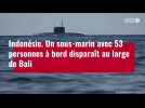 VIDÉO. Indonésie : disparition d'un sous-marin avec 53 personnes à bord