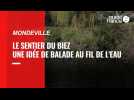 VIDEO. Près de Caen : le sentier du Biez, une idée de balade au fil de l'eau