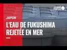 VIDÉO. Japon : l'eau de la centrale nucléaire de Fukushima rejetée en mer