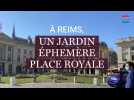 REIMS. La place Royale se végétalise en une nuit