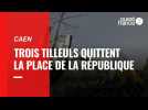 VIDÉO. À Caen, trois tilleuls quittent la place de la République pour la Folie-Couvrechef