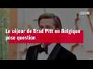 VIDÉO. Le séjour de Brad Pitt en Belgique pose question