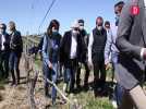 Gers : Carole Delga au chevet des viticulteurs impacté par l'épisode de gel