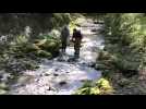 Vaulx : les pêcheurs constatent une pollution dans le ruisseau de Vaudrenaz