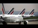 Roissy-Charles de Gaulle : arrivée des deux derniers vols Air France en provenance du Brésil