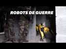 L'armée française teste le chien robot 