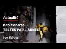 Des robots s'entraînent avec l'armée française
