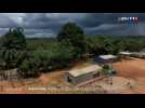 Amazonie : les forêts brûlent toujours