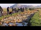 Bolivie : grand nettoyage du lac Uru Uru, près d'Oruro