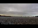 Vague de froid surprise sur Nord