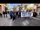 Manif loi climat Troyes