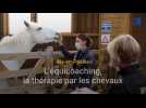Aix-en-Pévèle : l'équicoaching, la thérapie par le cheval