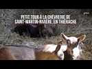 La fabrication de fromages de chèvres