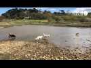 Une journée avec l'éducateur canin de Paimpol